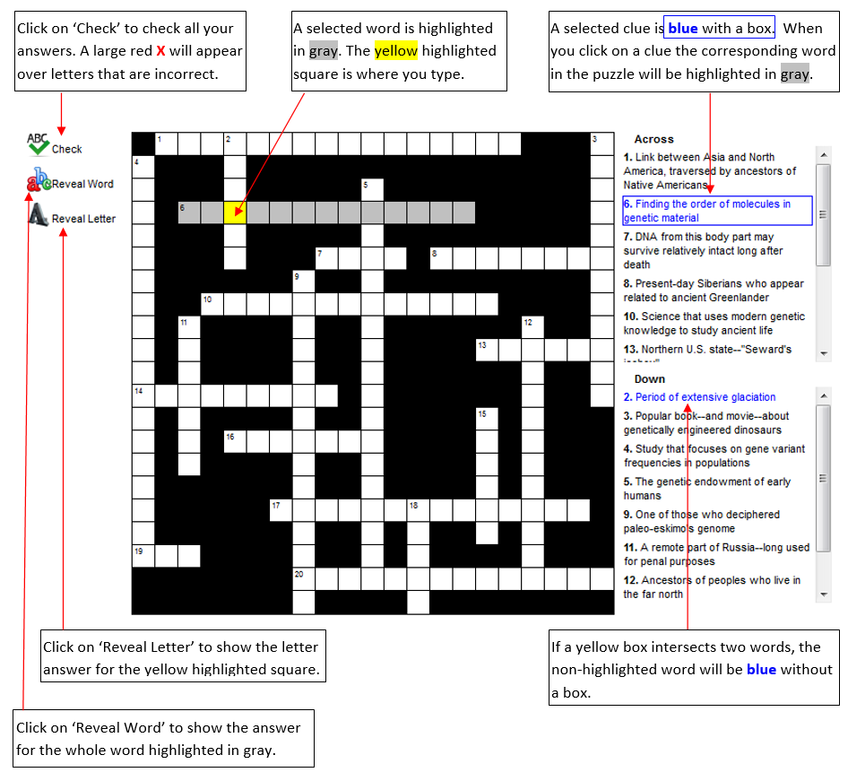 Interactive_Crossword_Puzzle.png